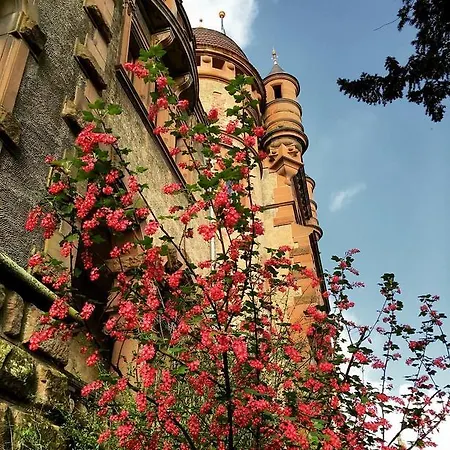 Πανσιόν Veltheimsburg