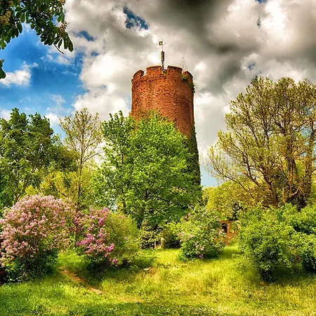 Veltheimsburg Bebertal
