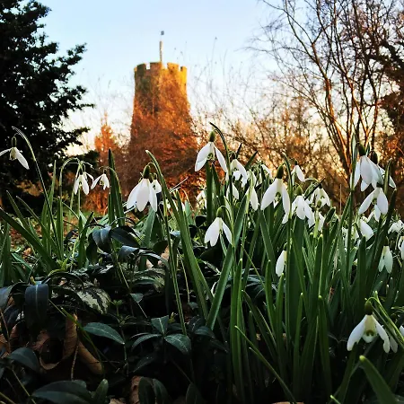 Πανσιόν Veltheimsburg 3*