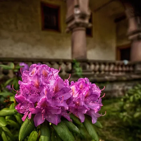 Casa de hóspedes Veltheimsburg Bebertal