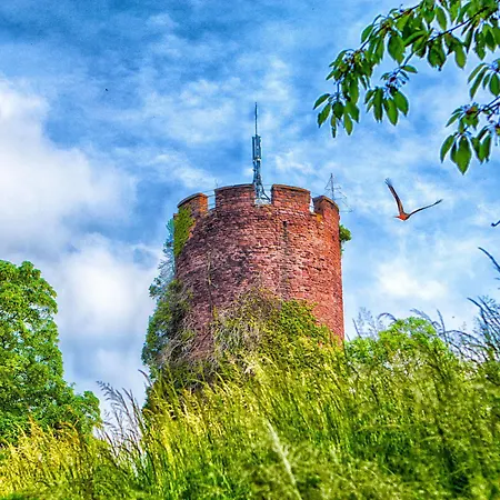 Veltheimsburg Πανσιόν 3*