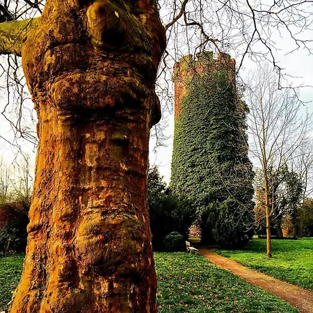 Veltheimsburg 3* Bebertal