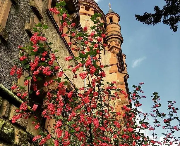 Гостевой дом Veltheimsburg