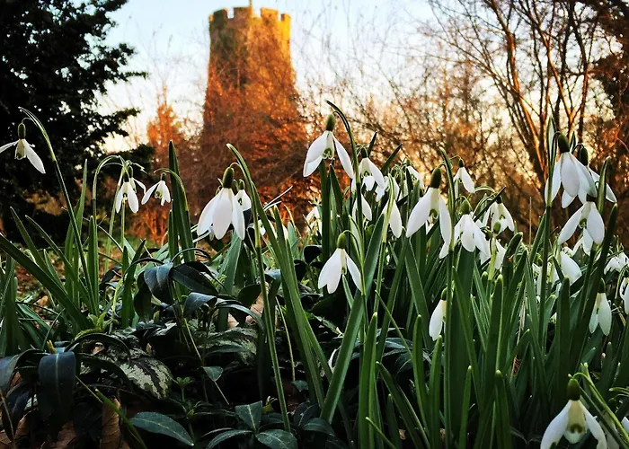 Гостевой дом Veltheimsburg 3*