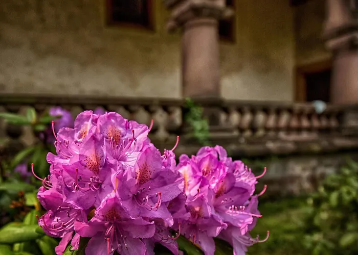 Гостевой дом Veltheimsburg Bebertal