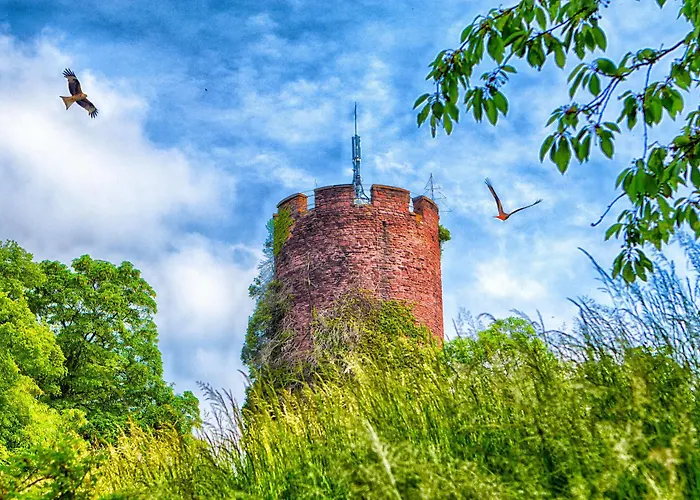 Veltheimsburg Гостевой дом 3*